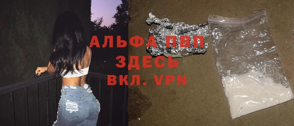 спайс Инта