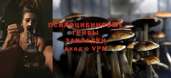 спайс Инта