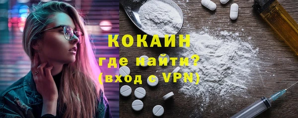 PSILOCYBIN Каменка
