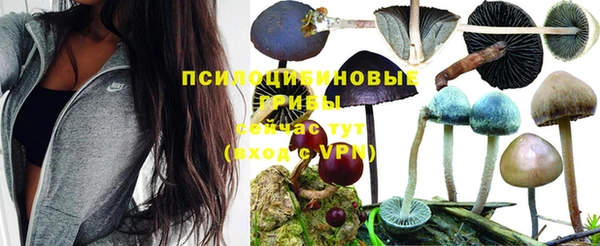 спайс Инта