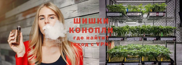 спайс Инта