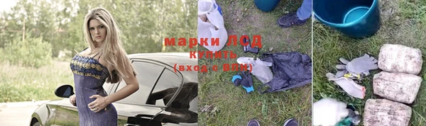 PSILOCYBIN Каменка