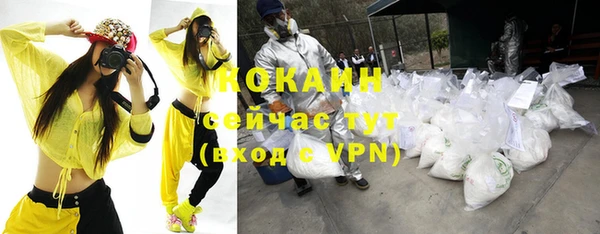 спайс Инта