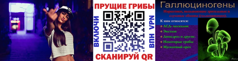 Купить  Нарткала  Псилоцибиновые грибы мицелий 